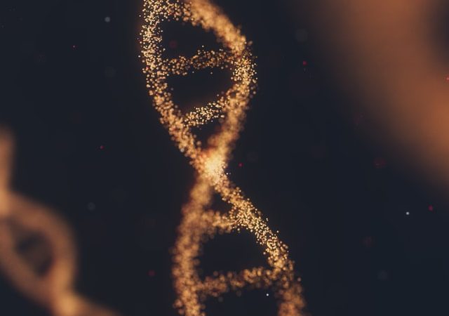 Therapeutennews - DNA-Analyse enthüllt neue Hinweise im Bereich der Krebsbehandlung-1